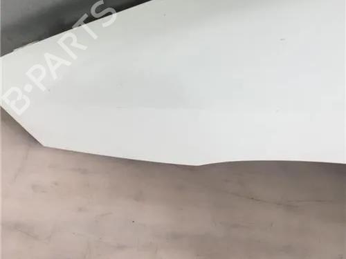 Left front fenders FIAT SCUDO Van (220_) 1.9 D | BP11342538C41 