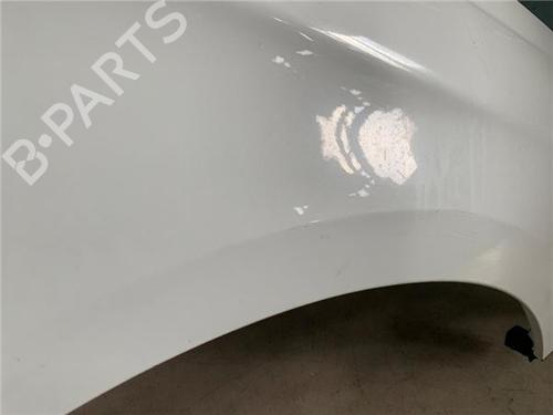 Right front fenders CITROËN C4 II (NC_)  | BP23408847C42 