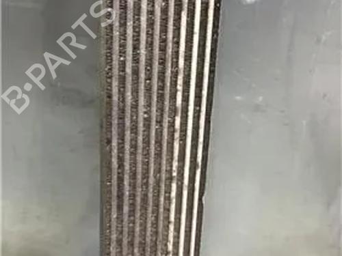 Ladeluftkühler für FIAT BRAVO II (198_) 1.9 D Multijet (198AXB1A) (120 hp) 9759202