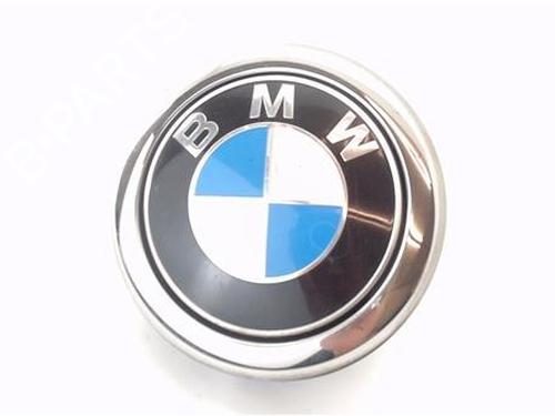 Used Tailgate handle BMW 1 (F20) 116 d (116 hp) 29134930