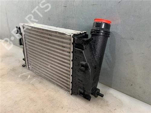 Intercooler NISSAN QASHQAI II (J11, J11_)  | BP25009961M30