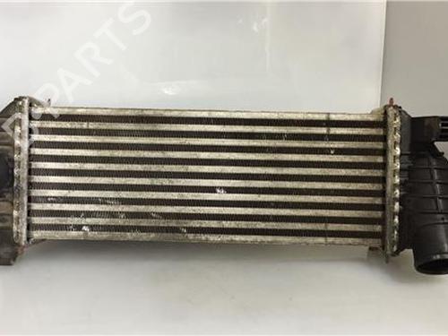 Used Intercooler RENAULT KANGOO / GRAND KANGOO II (KW0/1_) 1.5 dCi 70 (KW0V, KW0A) (68 hp) 9691503