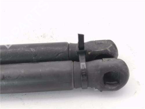 Tailgate lift support OPEL MERIVA A MPV (X03)  | BP29119145C138 