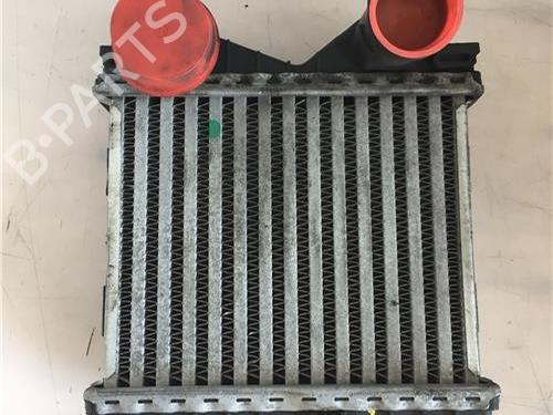 Intercooler SMART CABRIO (450) 0.6 (S1OLA1, 450.441, 450.442, 450.443) | BP9683989M30 