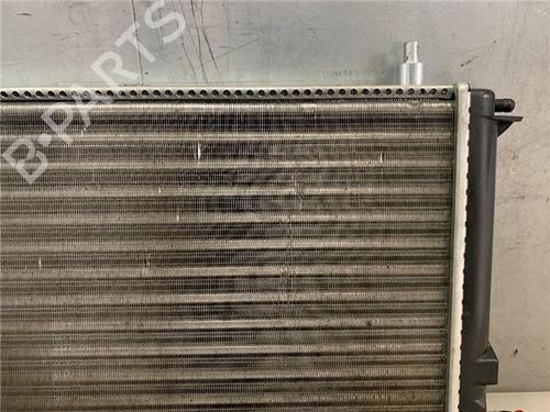 Køler CITROËN C15 Platform/Chassis (VDPD)  | BP29993260M31 