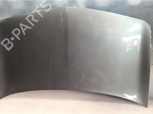 Used Hood RENAULT MEGANE II (BM0/1_, CM0/1_) 1.5 dCi (BM0F, BM0T, BM2B, CM0F, CM0T) (82 hp) 9696389
