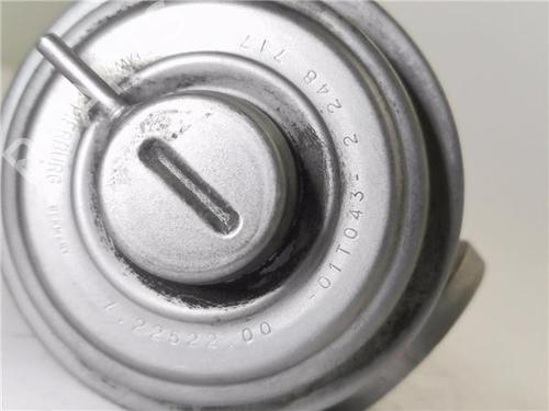 Egr LAND ROVER FREELANDER I (L314)  | BP23842683M69 