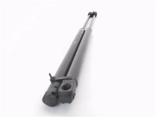 Tailgate lift support VW POLO IV (9N_, 9A_)  | BP29063109C138 