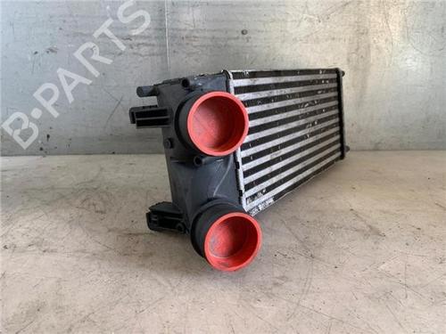 Intercooler CITROËN C4 Picasso I MPV (UD_)  | BP29502857M30 