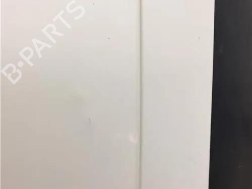 Right rear door FORD TRANSIT CONNECT (P65_, P70_, P80_)  | BP14339991C5 