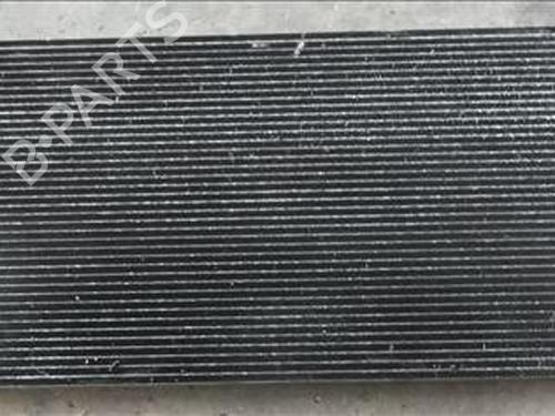 Used AC radiator RENAULT LAGUNA II (BG0/1_) 1.6 16V (BG0A, BG0L) (107 hp) 11041706