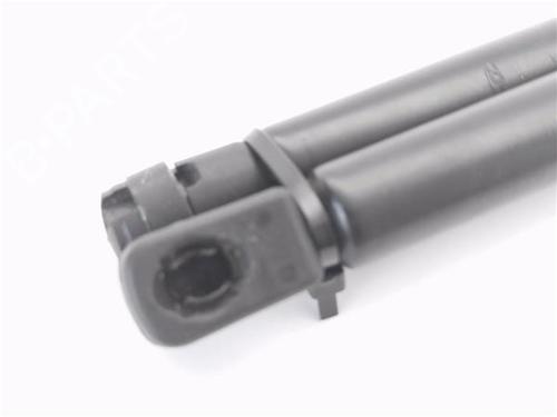 Tailgate lift support VW POLO IV (9N_, 9A_)  | BP29063109C138 