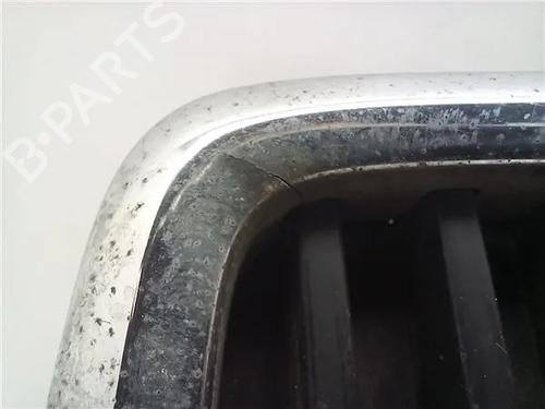Grille BMW 3 (E30)  | BP13049705C40