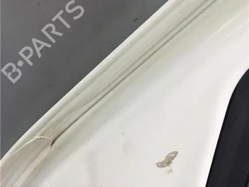 Right front door FORD TRANSIT CONNECT (P65_, P70_, P80_)  | BP11363345C3 