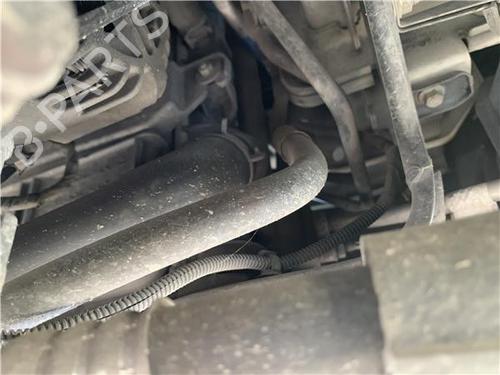 Water radiator FORD TRANSIT CONNECT (P65_, P70_, P80_) 1.8 TDCi | BP32450700M31 