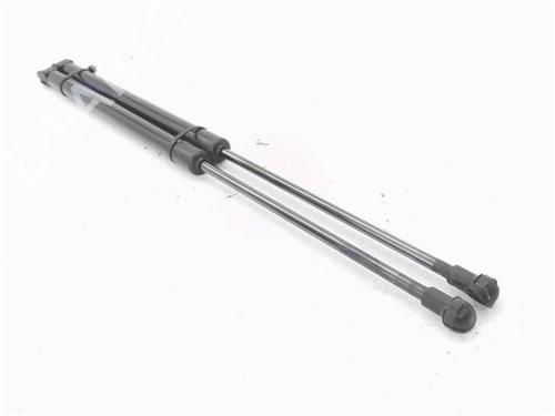 Gassdemper Bakluke NISSAN QASHQAI II (J11, J11_) [2013-2025]  25009965