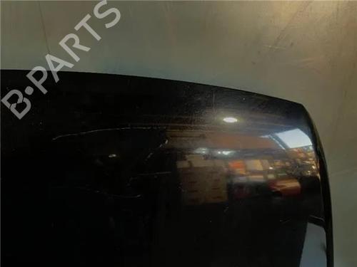 Hood VW TOUAREG (7LA, 7L6, 7L7) 5.0 V10 TDI | BP15648704C1 