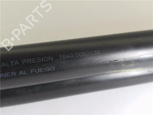 Tailgate lift support VW POLO IV (9N_, 9A_)  | BP29063109C138 