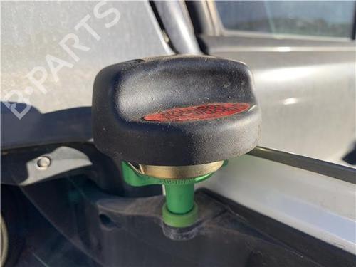 Fuel flap BMW 3 (E90) 330 d | BP32418761C131 