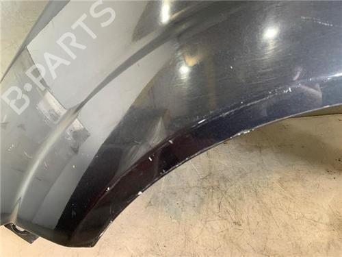 Left front fenders FORD FIESTA V (JH_, JD_) 1.4 TDCi | BP29614138C41 