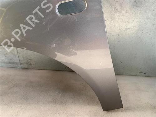 Left front fenders SEAT IBIZA III (6L1) 1.9 TDI | BP22432900C41 
