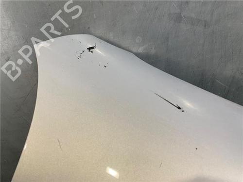 Right front fenders SEAT TOLEDO II (1M2) 1.9 TDI | BP22633211C42 