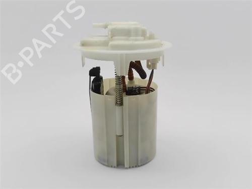 Fuel pump PEUGEOT 207 (WA_, WC_)  | BP20137324M76