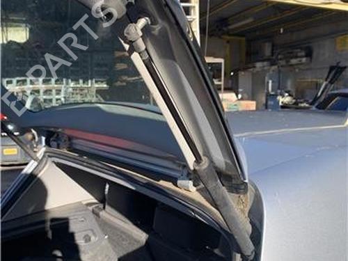 Tailgate lift support VW GOLF V (1K1)  | BP32419307C138 