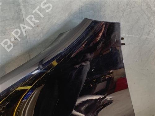 Left front fenders VW GOLF V (1K1)  | BP22432899C41 