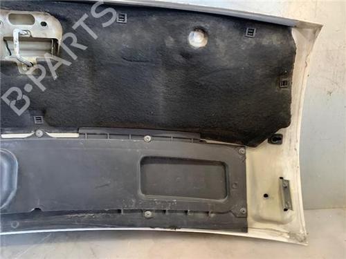 Hood FIAT DUCATO Van (250_) 150 Multijet 2,3 D | BP29977558C1