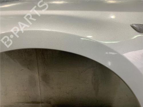 Left front fenders FIAT TIPO Hatchback (356_, 357_) 1.4 (356HXA1B) | BP16424258C41 