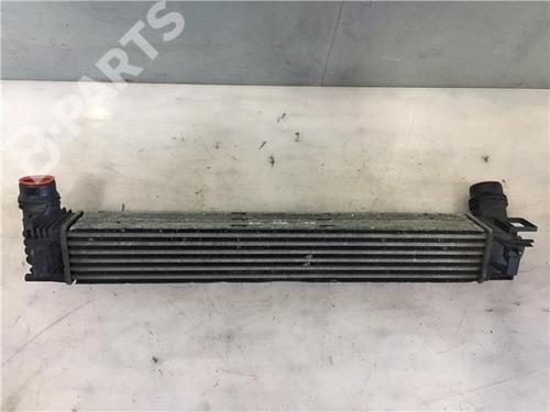 Intercooler RENAULT SCÉNIC III (JZ0/1_) 1.5 dCi (86 hp) 11789212