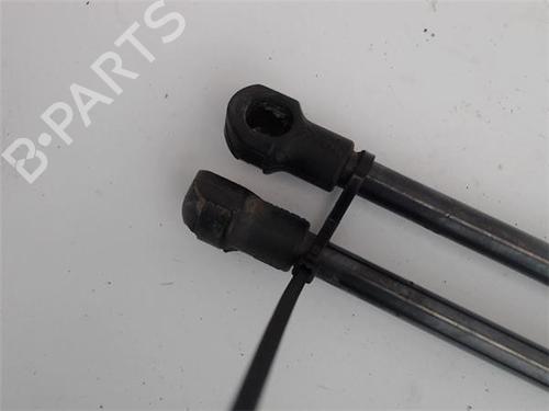 Hood lift support BMW 3 Compact (E46)  | BP16994481C139 