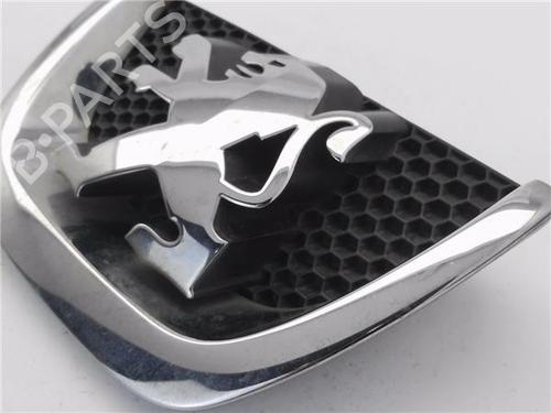 Grill PEUGEOT PARTNER Tepee 1.6 HDi 16V | BP34621263C40 - Image 10