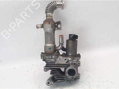 Egr RENAULT GRAND SCÉNIC II (JM0/1_) 1.9 dCi (JM0G, JM12, JM1G, JM2C) | BP16589972M69 