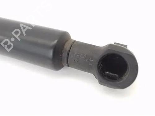 Hood lift support SAAB 9-3 (YS3F, E79, D79, D75) 1.9 TiD | BP25719004C139 