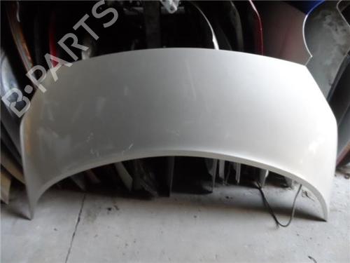 Panser RENAULT GRAND SCÉNIC II (JM0/1_) 1.9 dCi (JM14) (131 hp) 9702616