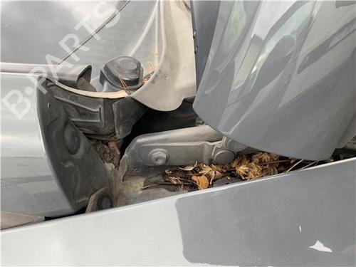 Hinge/Door check strap SEAT LEON (1P1) 1.9 TDI | BP32417860C146 