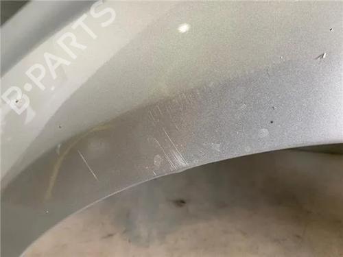 Left front fenders FORD FOCUS II (DA_, HCP, DP)  | BP23391321C41 