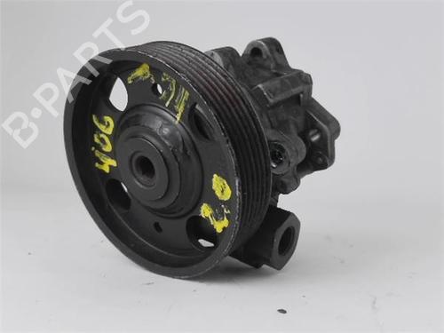 Styring servopumpe PEUGEOT 406 (8B) [1995-2005]  29038373