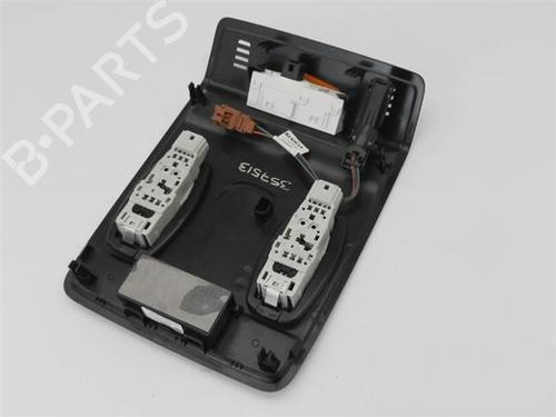 Interior roof light RENAULT CLIO V (B7_)  | BP21359742I8 