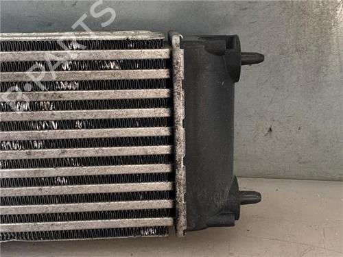 Intercooler CITROËN C4 Picasso I MPV (UD_)  | BP29502857M30 