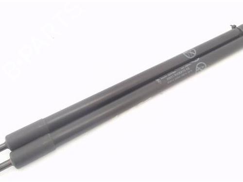Tailgate lift support FORD C-MAX II (DXA/CB7, DXA/CEU)  | BP29259865C138 