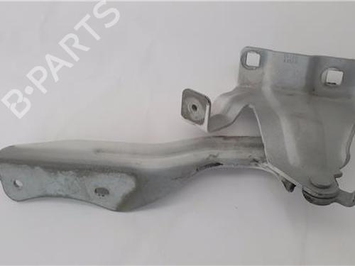 Hinge/Door check strap NISSAN QASHQAI II (J11, J11_)  | BP25719179C146 
