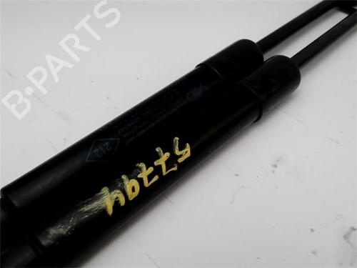 Hood lift support RENAULT SCÉNIC III (JZ0/1_) 1.5 dCi | BP14344044C139 