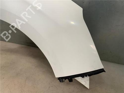 Right front fenders CITROËN C4 II (NC_)  | BP23408847C42 