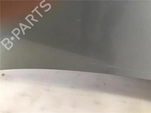 Hood SAAB 9-3 (YS3F, E79, D79, D75) 2.2 TiD | BP10004478C1 