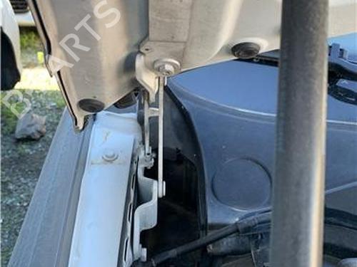 Hinge/Door check strap BMW 3 (E90) 330 d | BP32418668C146 