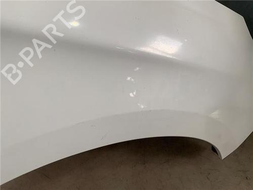 Right front fenders CITROËN C4 II (NC_)  | BP23408847C42 