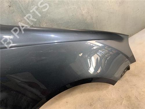 Right front fenders VW POLO (9N_, 9A_)  | BP18166487C42 